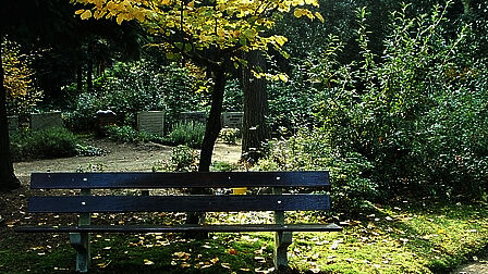 Begraafplaats Tjoenerhof Diepenveen