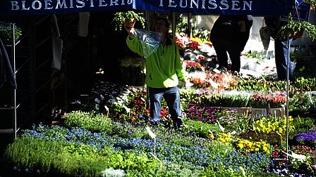 Bloemenkraam Deventer markt