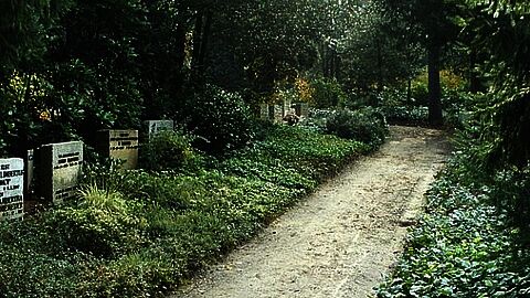 Begraafplaats Tjoenerhof Diepenveen