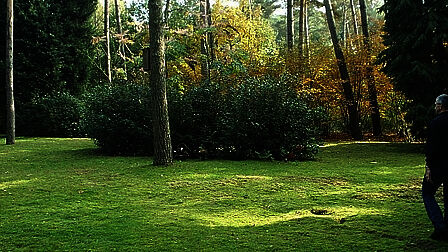 Strooiveld bij begraafplaats Tjoenerhof Diepenveen